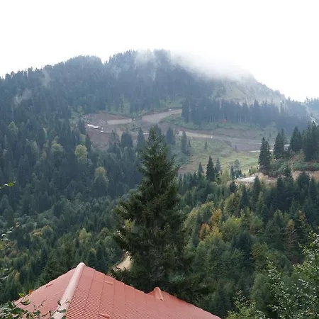 Отель Foleya Mountain & Трабзон