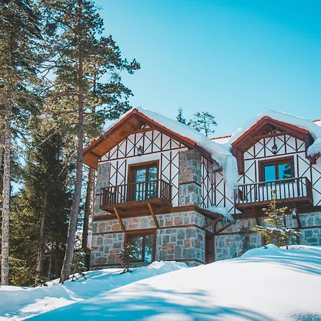 Foleya Mountain & Отель Трабзон