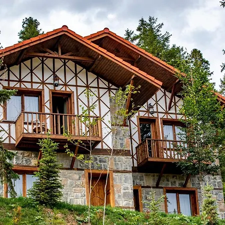 Foleya Mountain & Отель